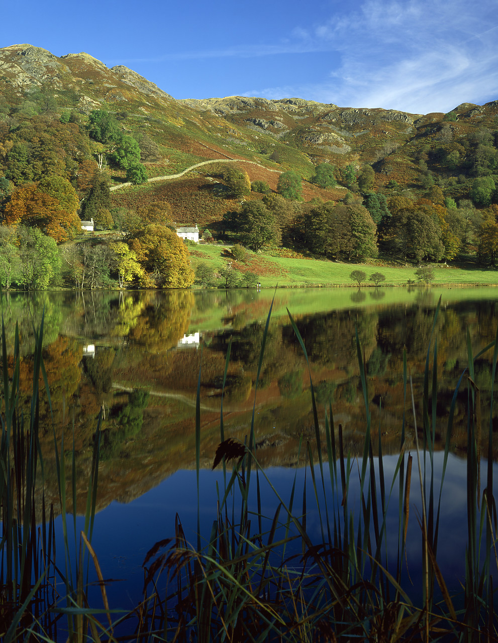 #020760-13 - Loughrigg Tarn Reflections, Lake District National Park, Cumbria, England