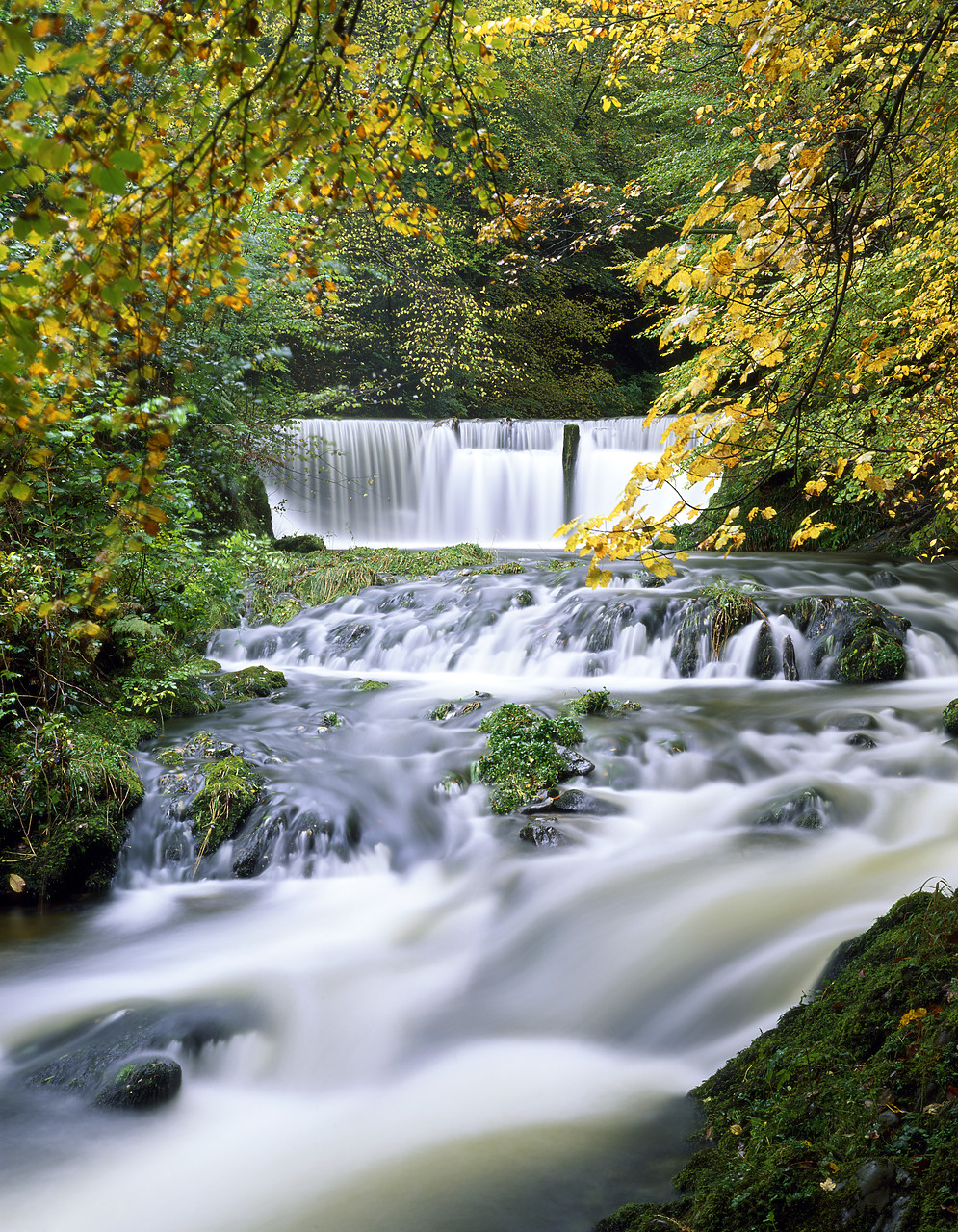 #020763-11 - River Stock in Autumn, Ableside, Lake District National Park, Cumbria, England