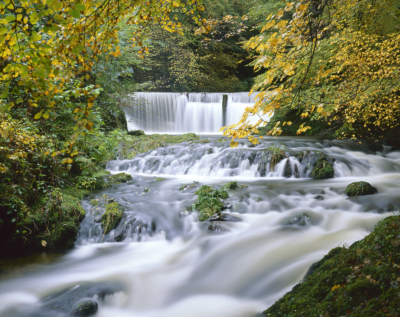 #020763-9 - Stockgyhll Force in Autumn, Lake District National Park, Cumbria, England