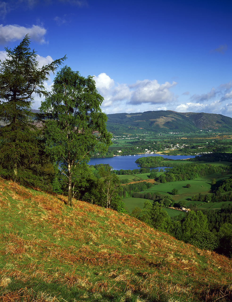 #030155-3 - View over Keswick, Lake District National Park, Cumbria, England