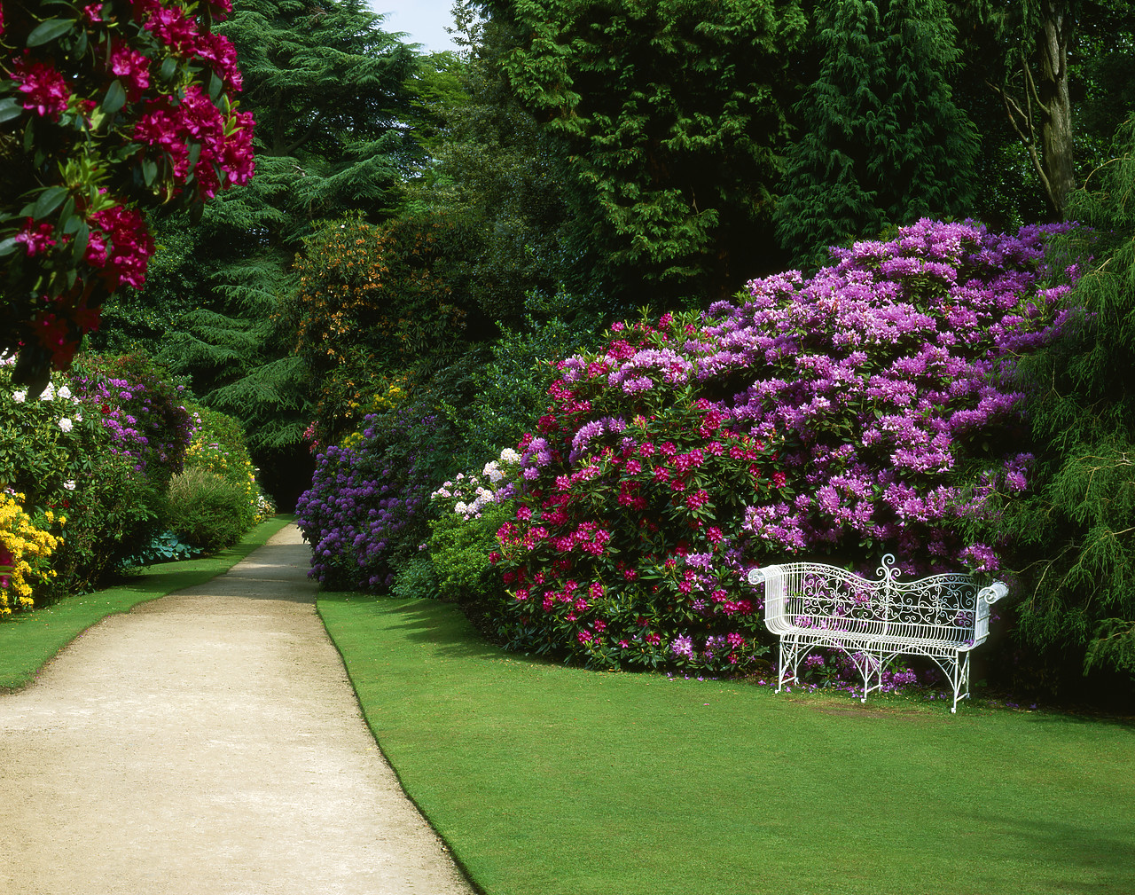 #030195-2 - Hare Hill Gardens, near Prestbury, Cheshire, England