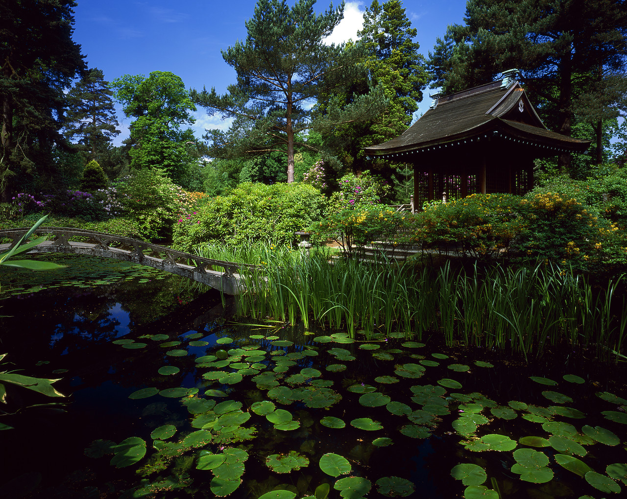 #030204-2 - Japanese Garden, Tatton Park, Cheshire, England