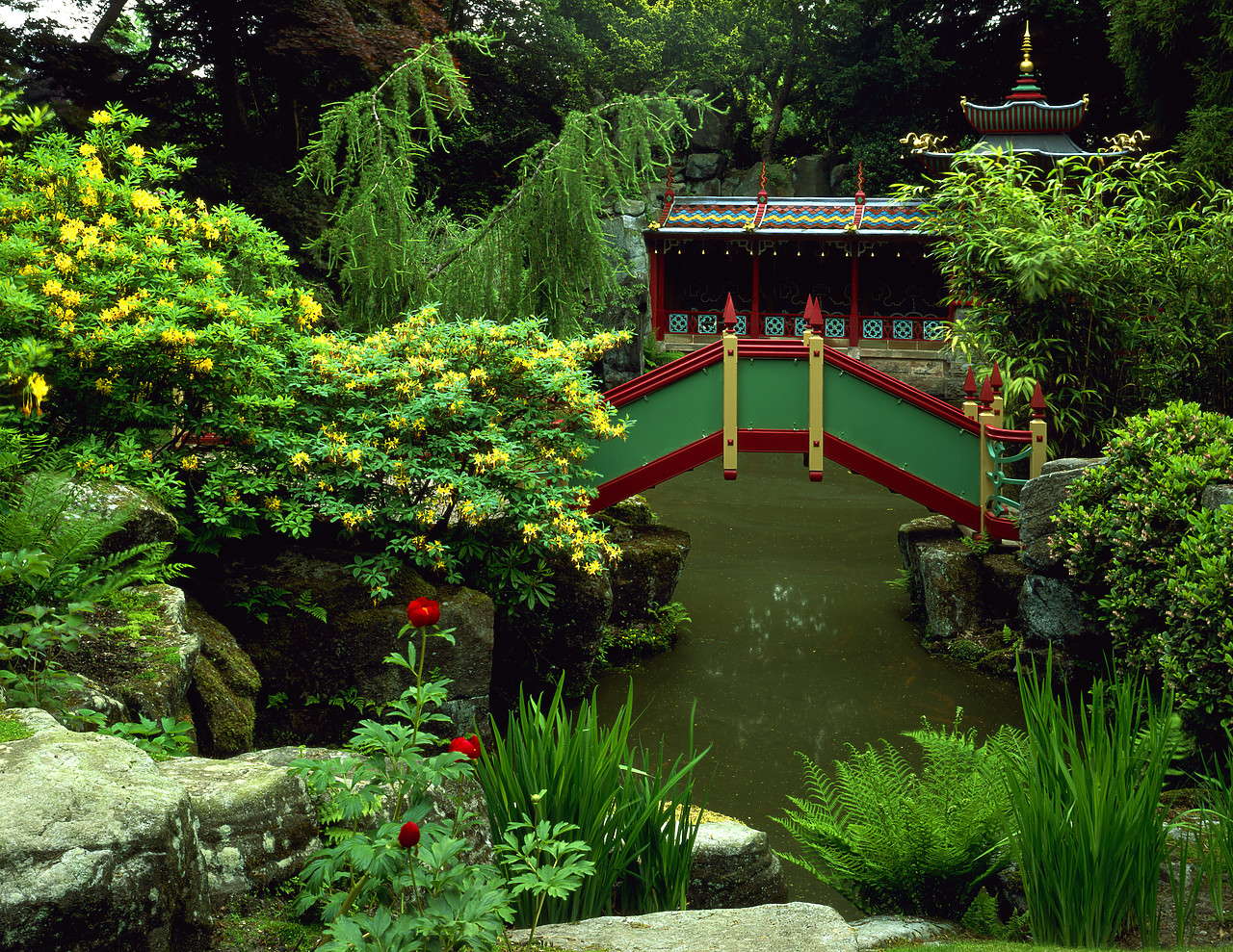#030207-3 - Chinese Garden, Biddulph Grange, Staffordshire, England