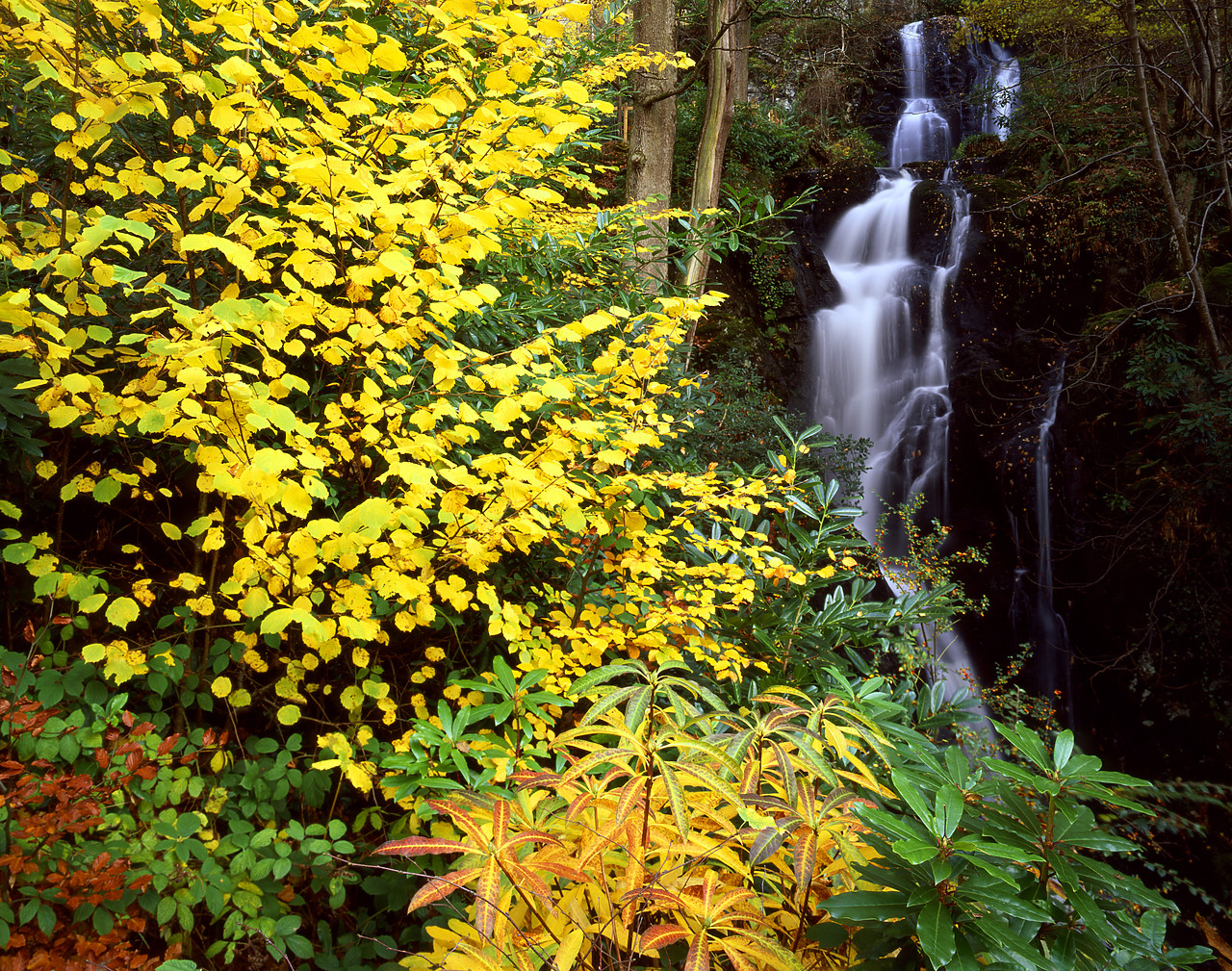 #030383-2 - Waterfall in Autumn, Lake District National Park, Cumbria, England