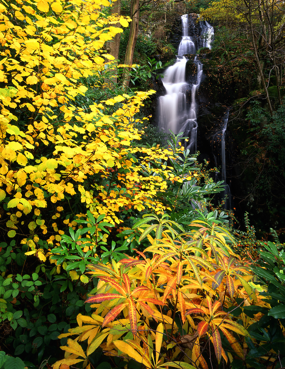 #030383-5 - Waterfall in Autumn, Lake District National Park, Cumbria, England