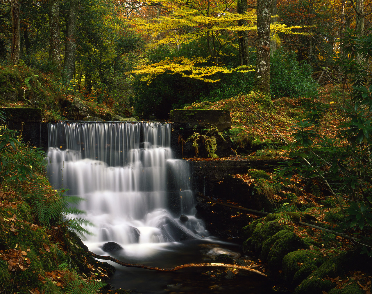 #030385-2 - Waterfall in Autumn, Lake District National Park, Cumbria, England