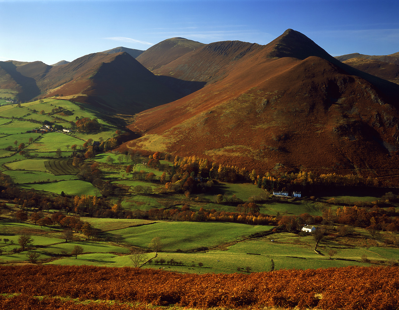 #030387-1 - Newlands Valley, Lake District National Park, Cumbria, England