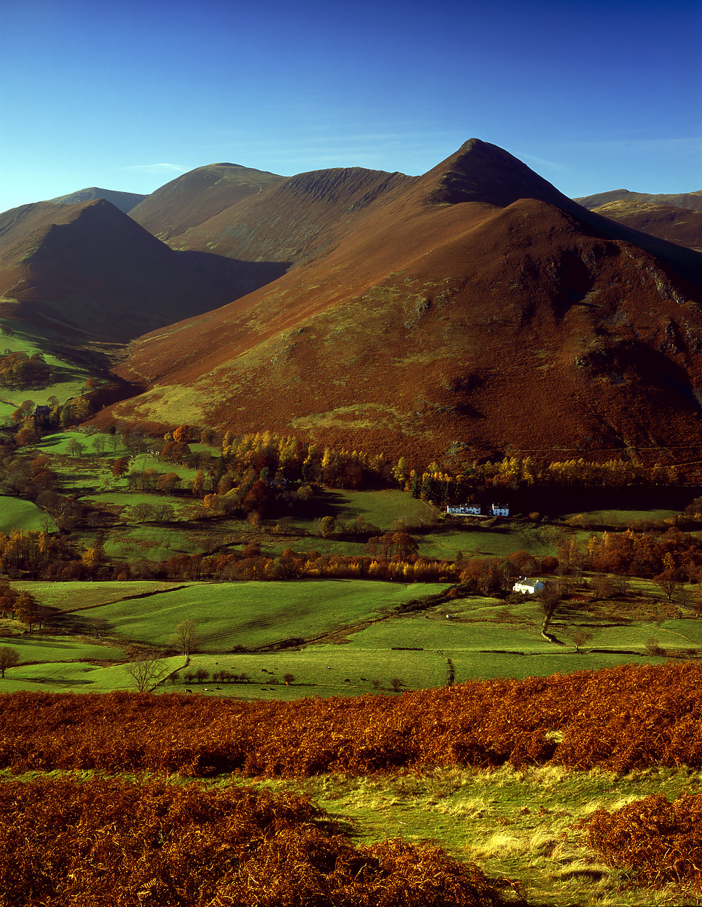#030387-5 - Newlands Valley, Lake District National Park, Cumbria, England
