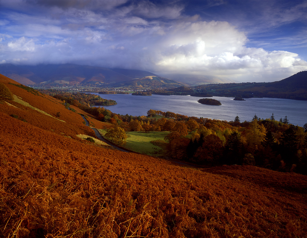 #030392-1 - Derwent Water in Autumn, Lake District National Park, Cumbria, England