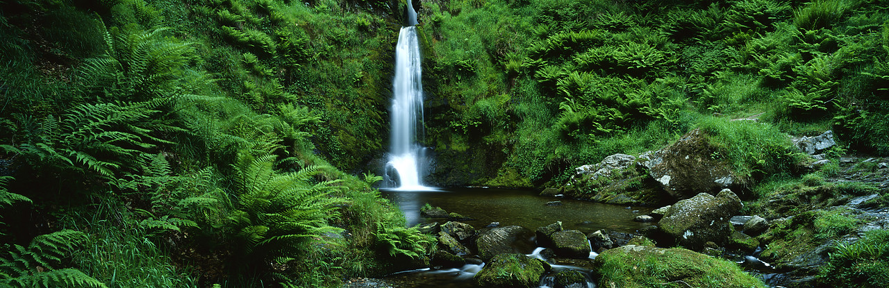 #040123-1 - Pistyll Rhaeadr Waterfall, near Llanrhaeadr, Denbighshire, Wales