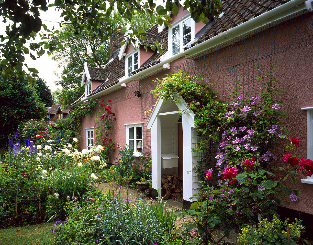 #040151-2 - Cottage & Garden, Topcroft, Norfolk, England