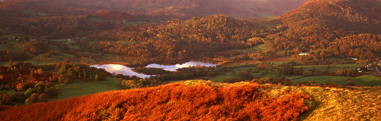 #050311-1 - Eltermere Valley in Autumn, Lake District National Park, Cumbria, England