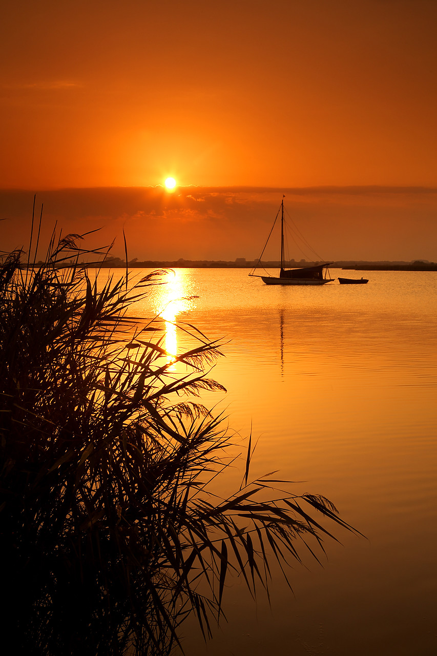 #060204-3 - Sailboat at Sunset, Horsey Mere, Norfolk Broads National Park, Norfolk, East Anglia, England