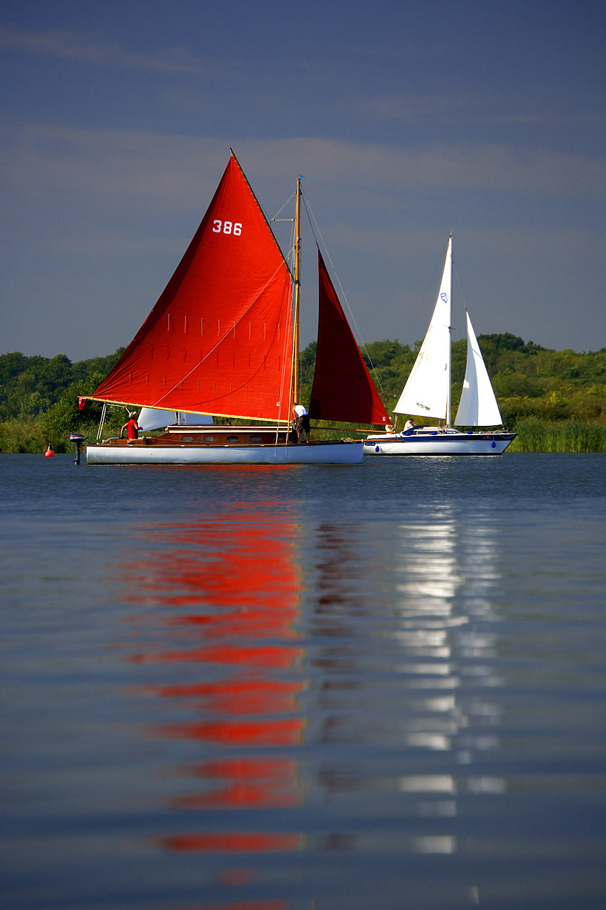 #060208-1 - Red Sailboat on Barton Broad, Norfolk Broads National Park, Norfolk, East Anglia, England
