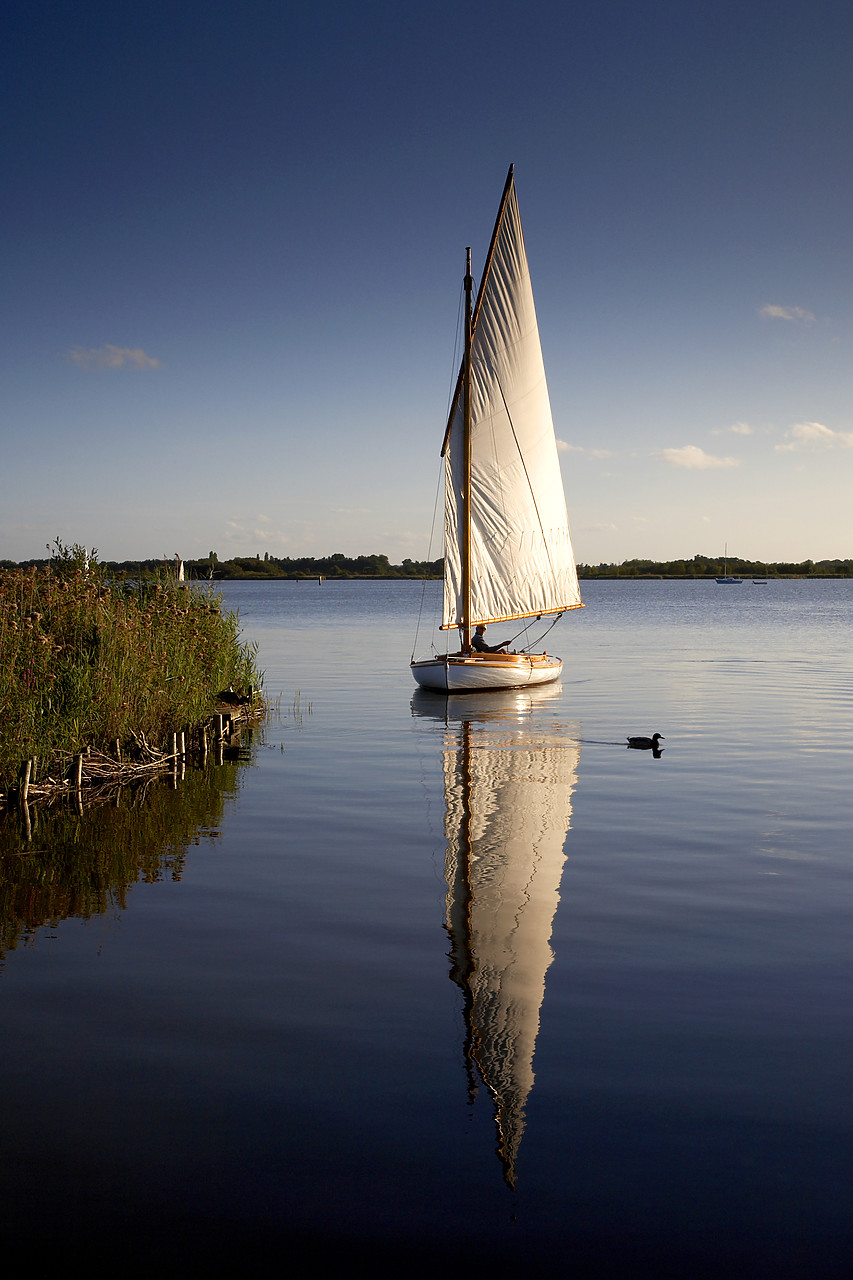 #060209-1 - Sailboat on Hickling Broad, Norfolk Broads National Park, Norfolk, East Anglia, England