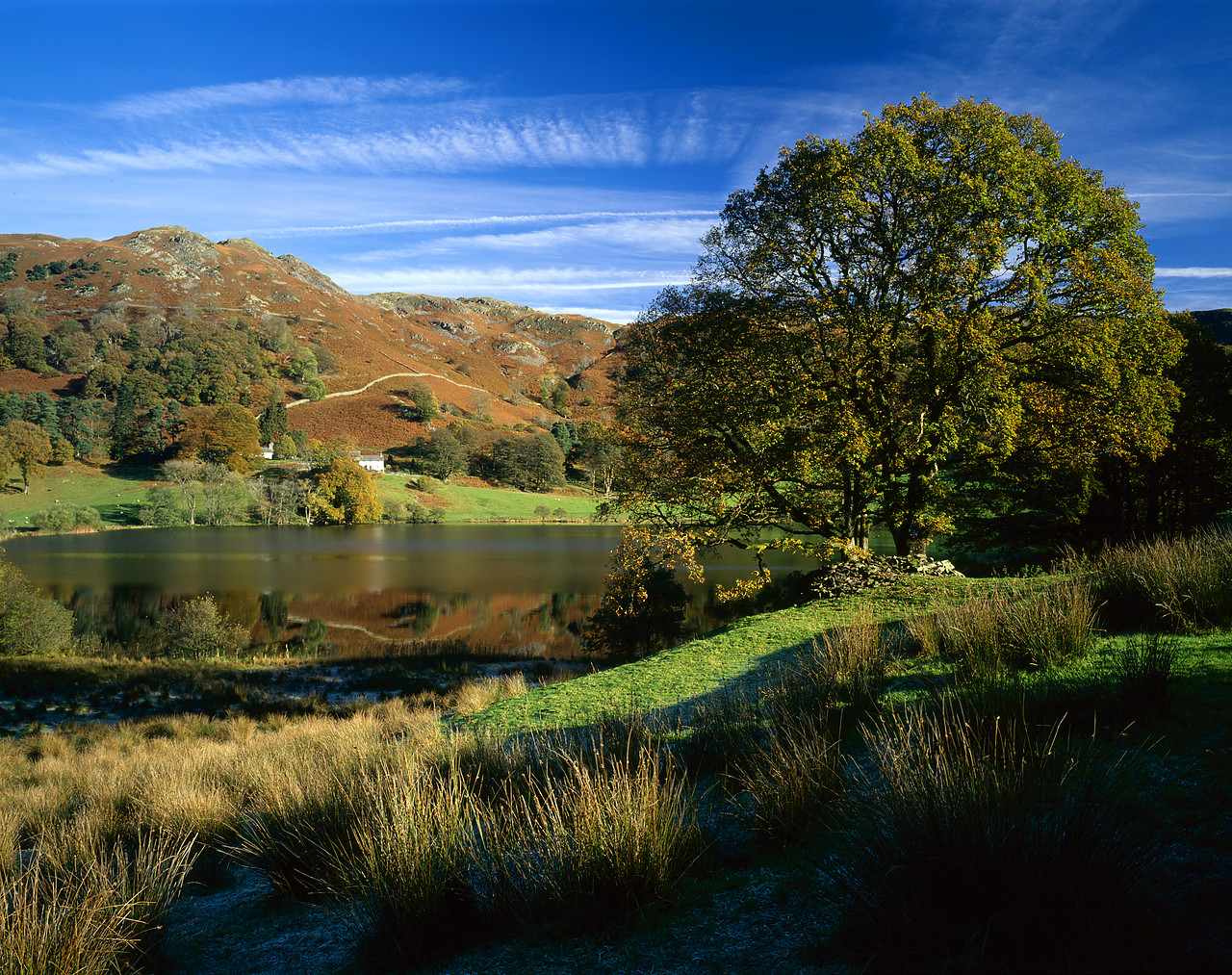 #060525-1 - View over Loughrigg Tarn in Autumn, Lake District National Park, Cumbria, England