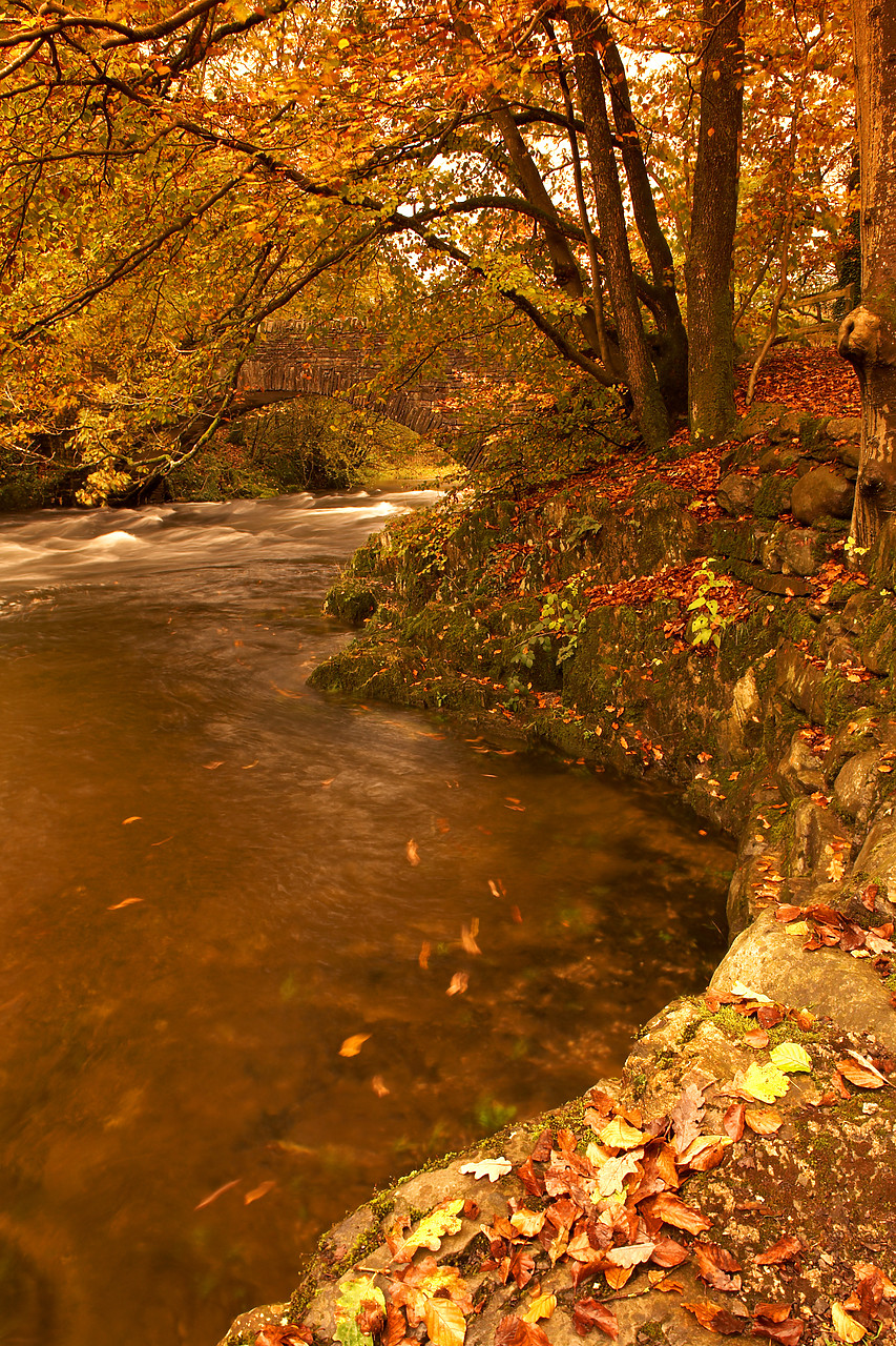 #060699-1 - River Brathay in Autumn, Lake District National Park, Cumbria, England