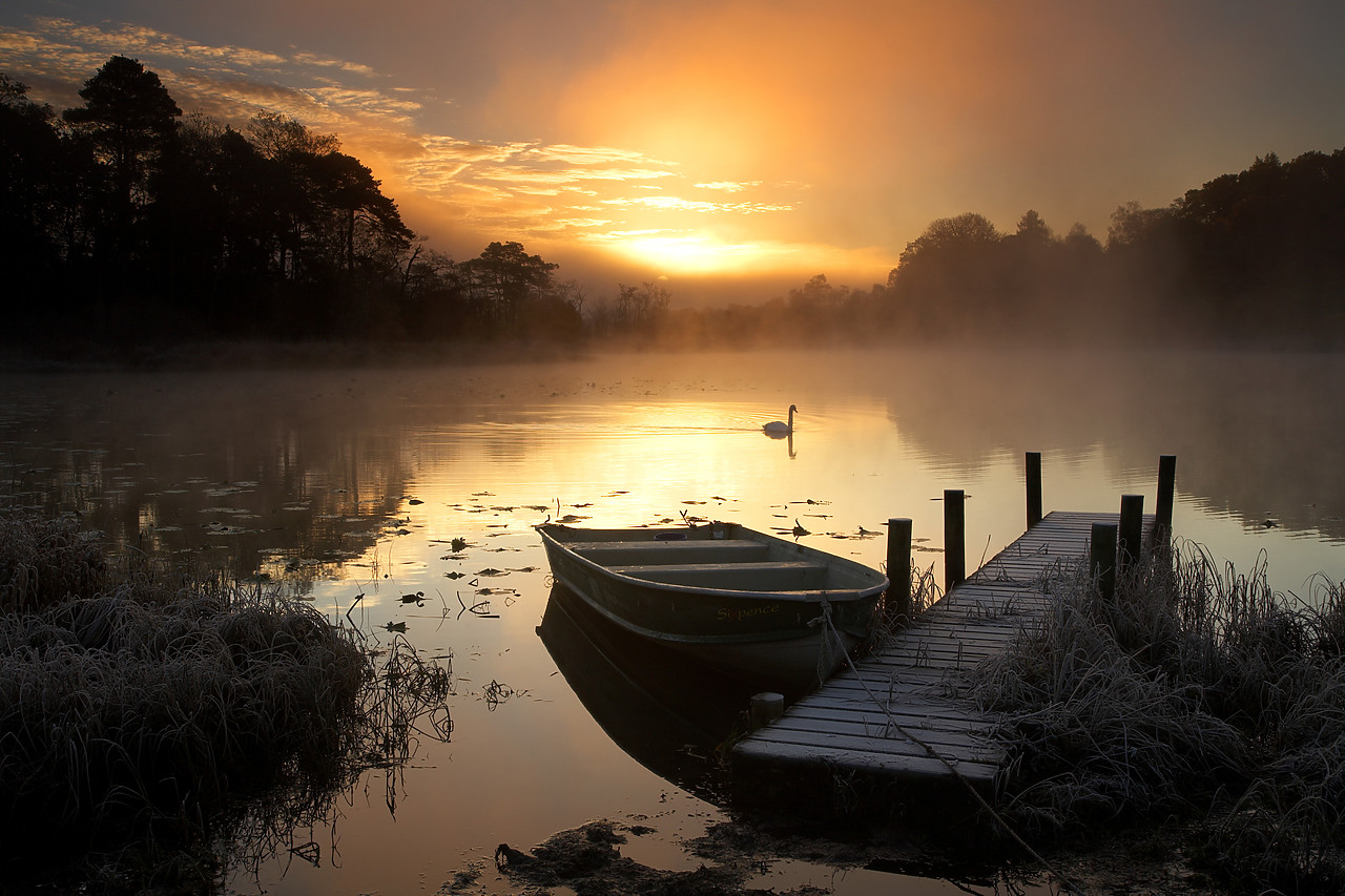 #060712-2 - Boat & Jetty at Sunrise with Swan, Elterwater, Lake District National Park, Cumbria, England