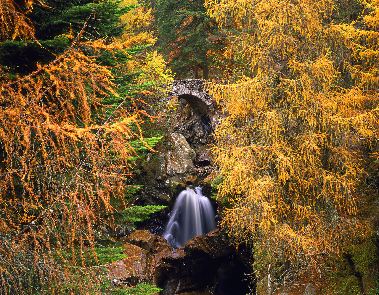#060725-3 - Falls of Bruar in Autumn, Tayside Region, Scotland