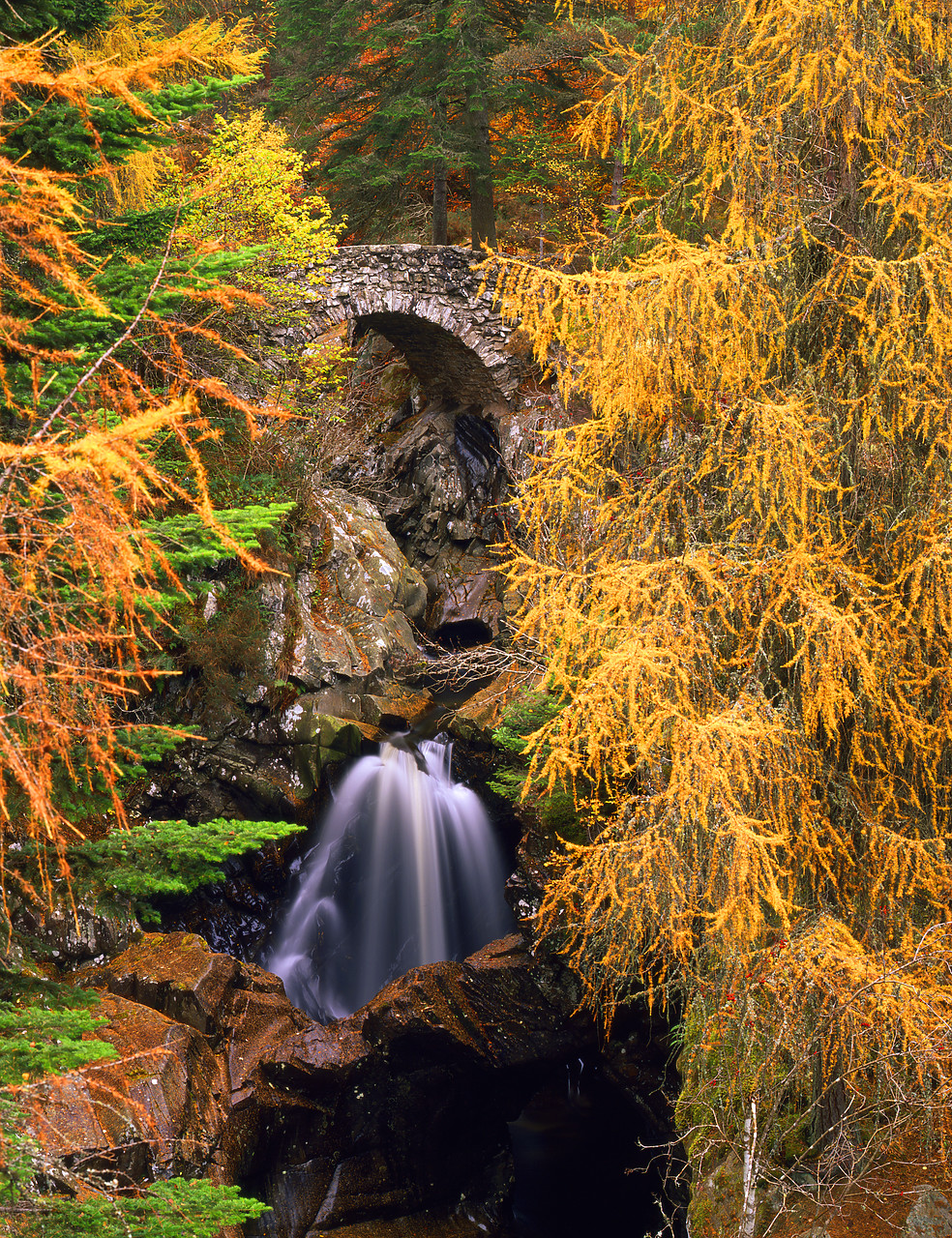 #060725-4 - Falls of Bruar in Autumn, Tayside Region, Scotland