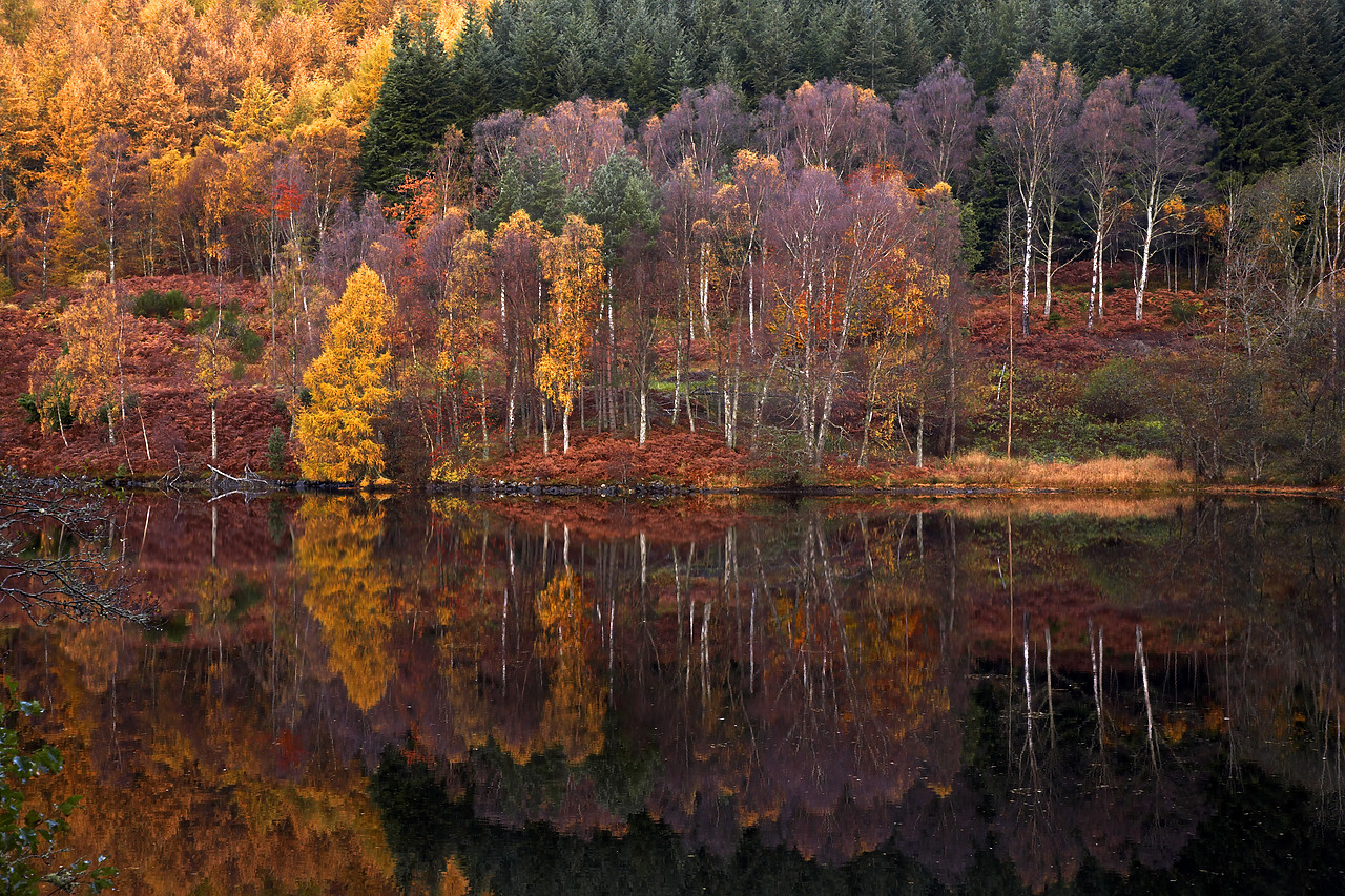 #060731-1 - Loch Tummel Reflections in Autumn, Tayside Region, Scotland