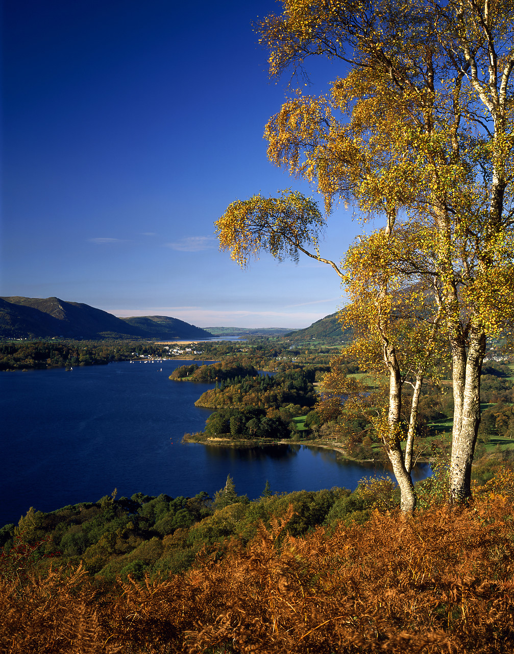 #060768-2 - View over Derwent Water, Lake District National Park, Cumbria, England