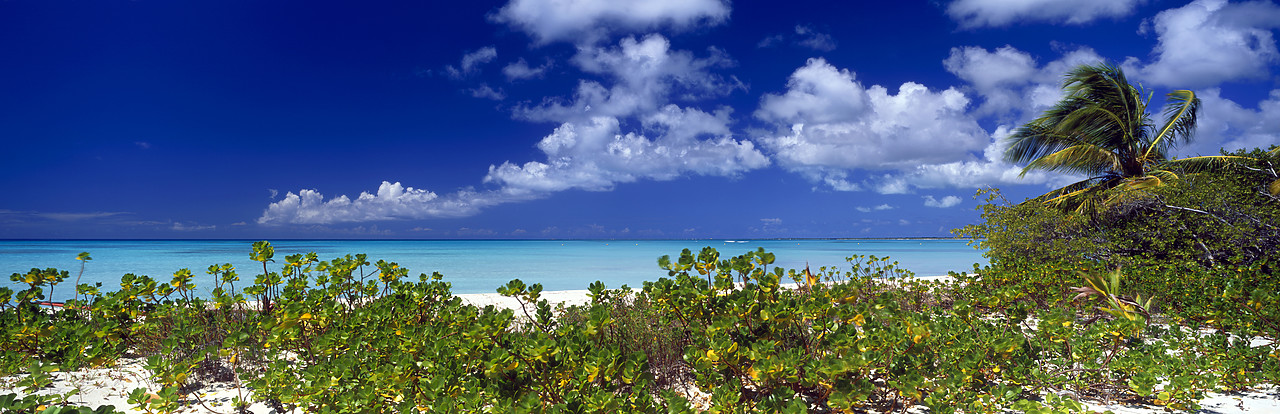 #070006-1 - Coco Point Beach, Barbuda, Caribbean, West Indies