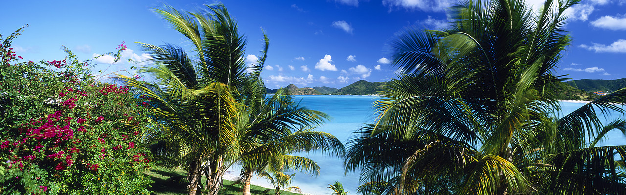 #070007-1 - Coco Bay, Antigua, Caribbean, West Indies