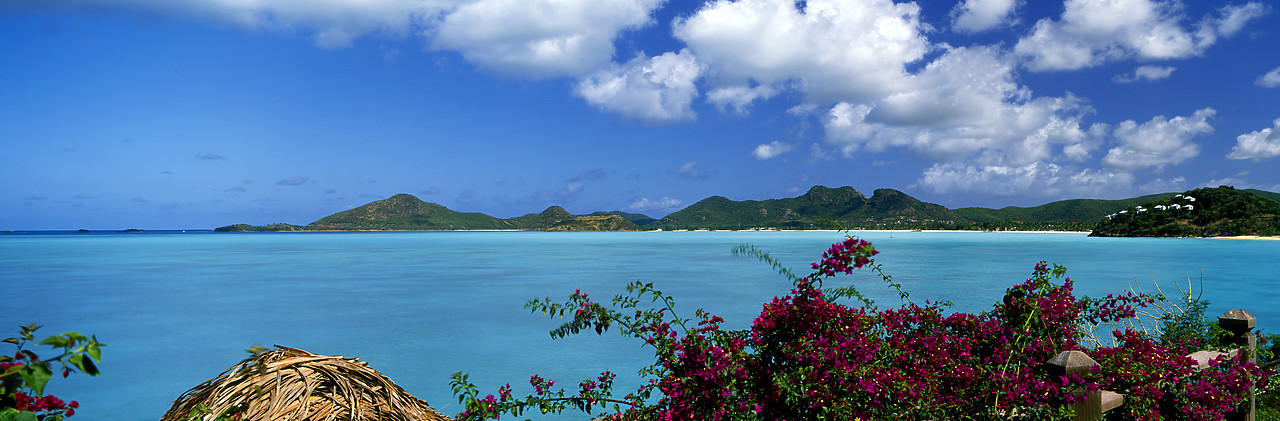 #070008-1 - Coco Bay, Antigua, Caribbean, West Indies