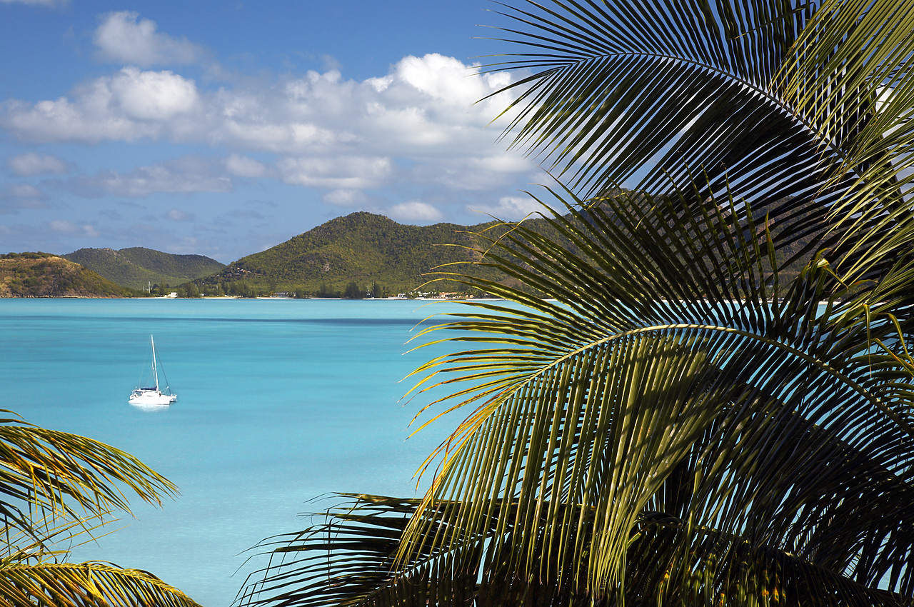 #070017-1 - Coco Bay, Antigua, Caribbean, West Indies