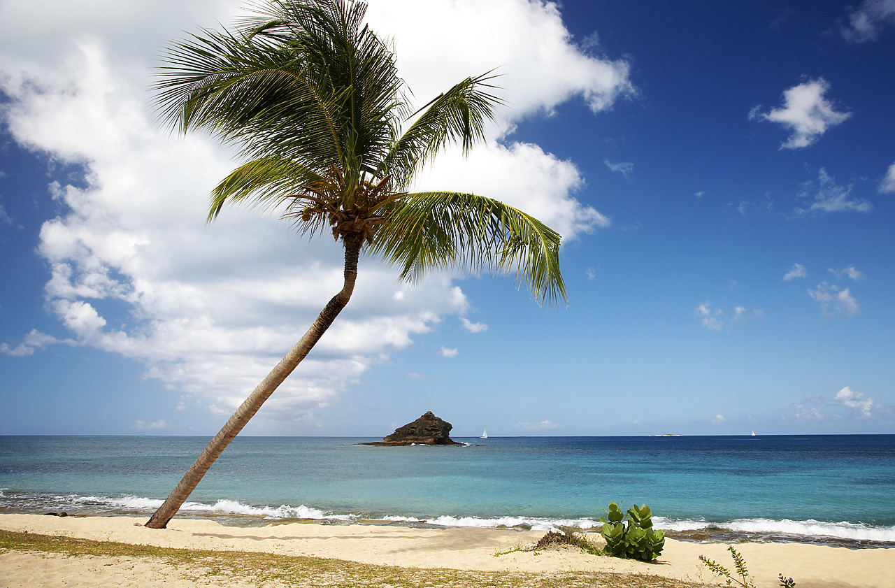 #070018-1 - Hawksbill Beach, Antigua, Caribbean, West Indies