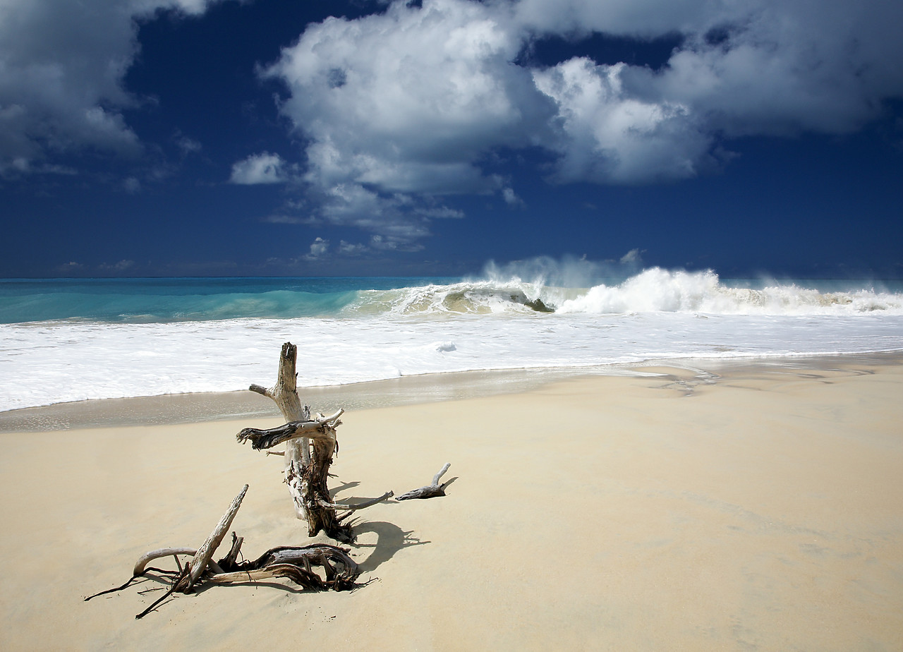 #070024-1 - Deserted Beach, Barbuda, Caribbean, West Indies