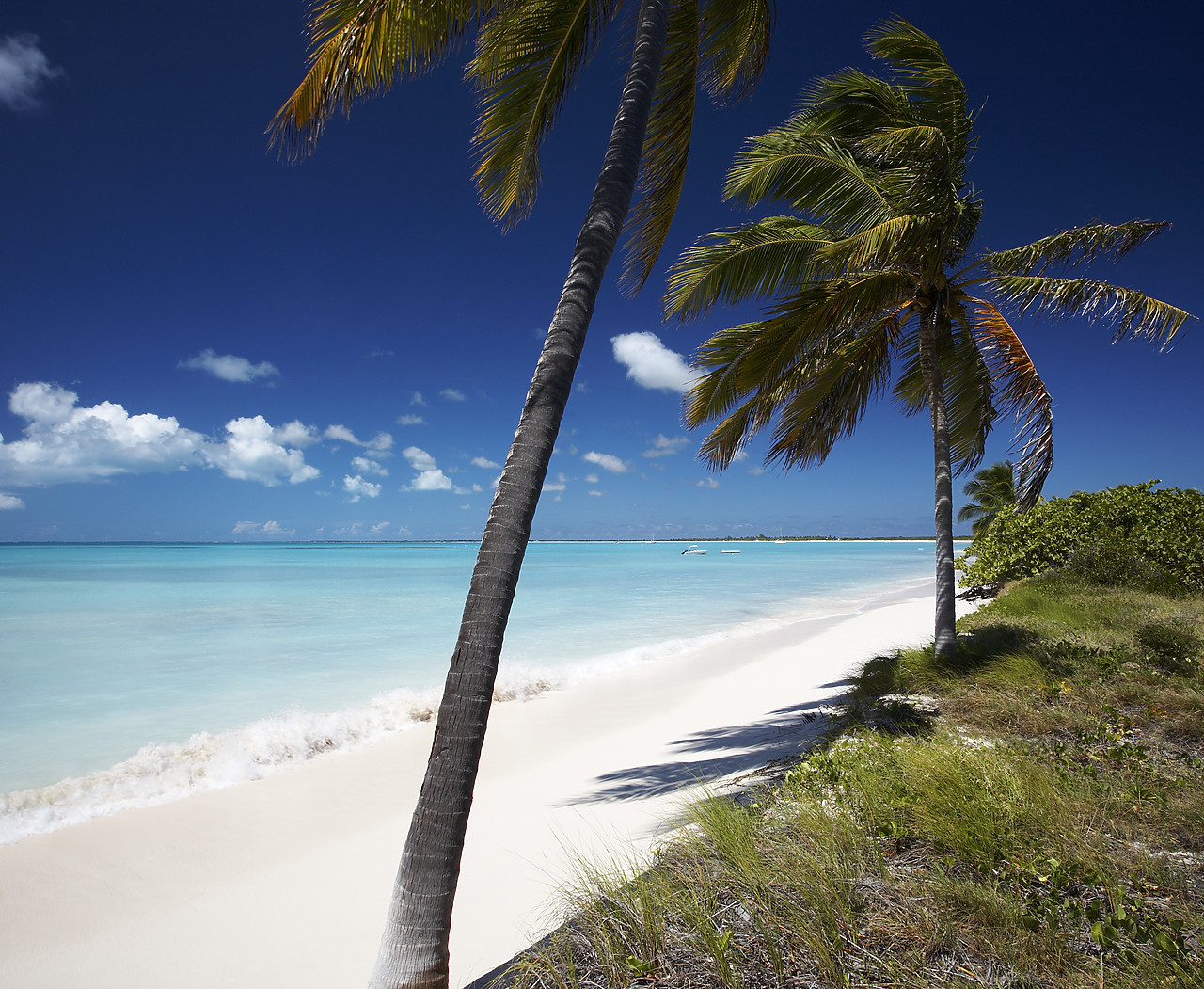 #070025-1 - Coco Point, Barbuda, Caribbean, West Indies