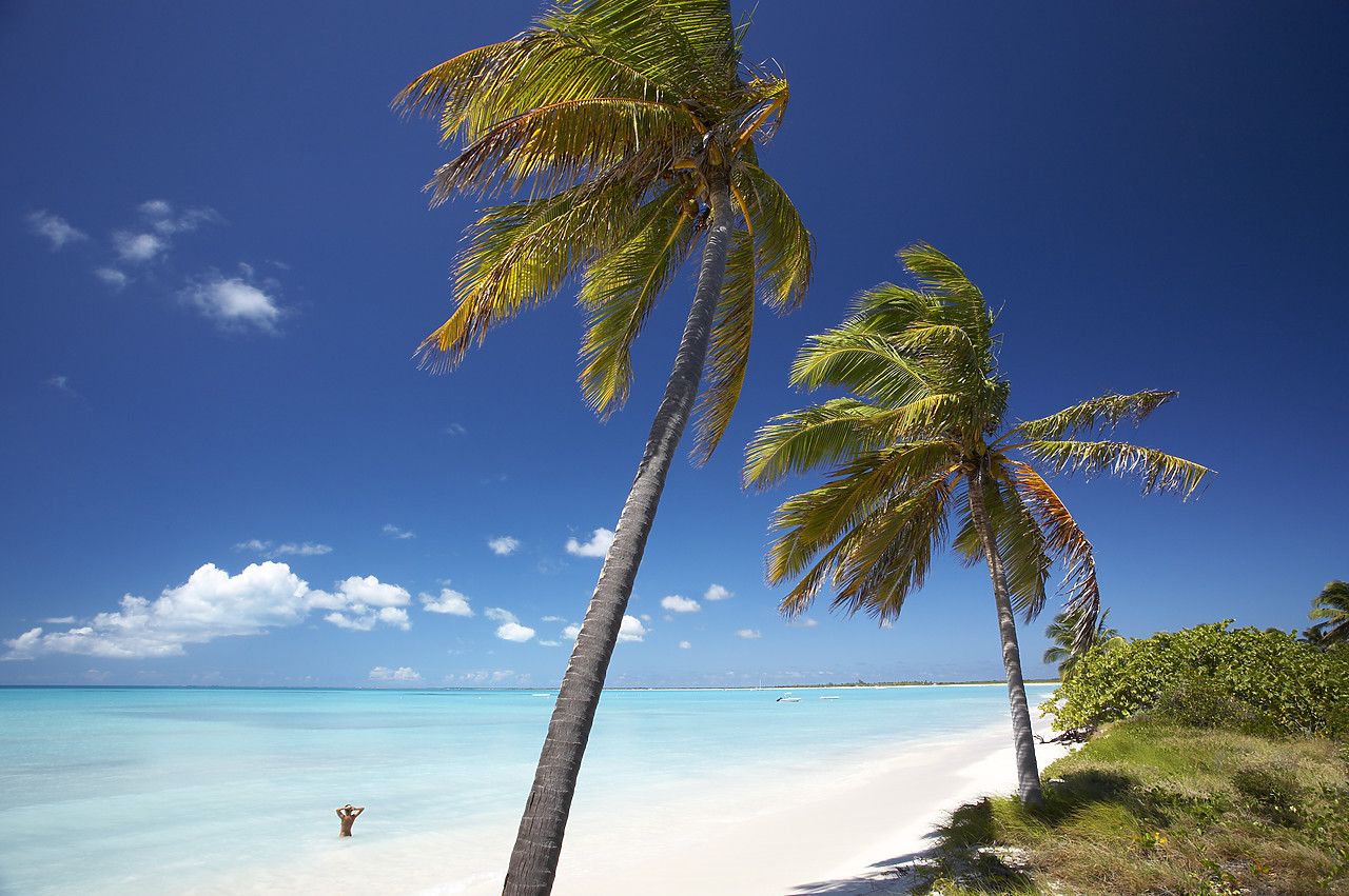 #070025-2 - Coco Point, Barbuda, Caribbean, West Indies