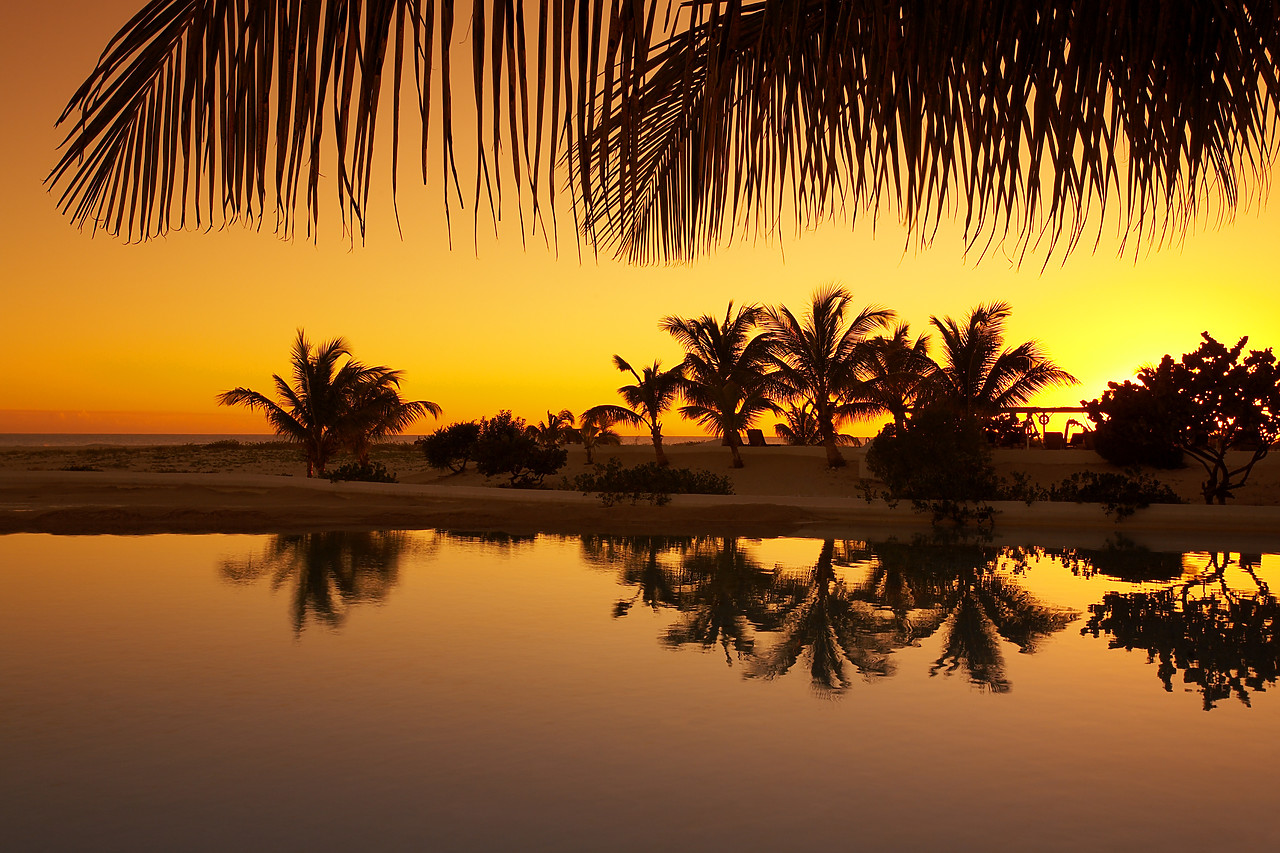 #070079-1 - Palm Tree Reflections at Sunset, Barbuda, Caribbean, West Indies