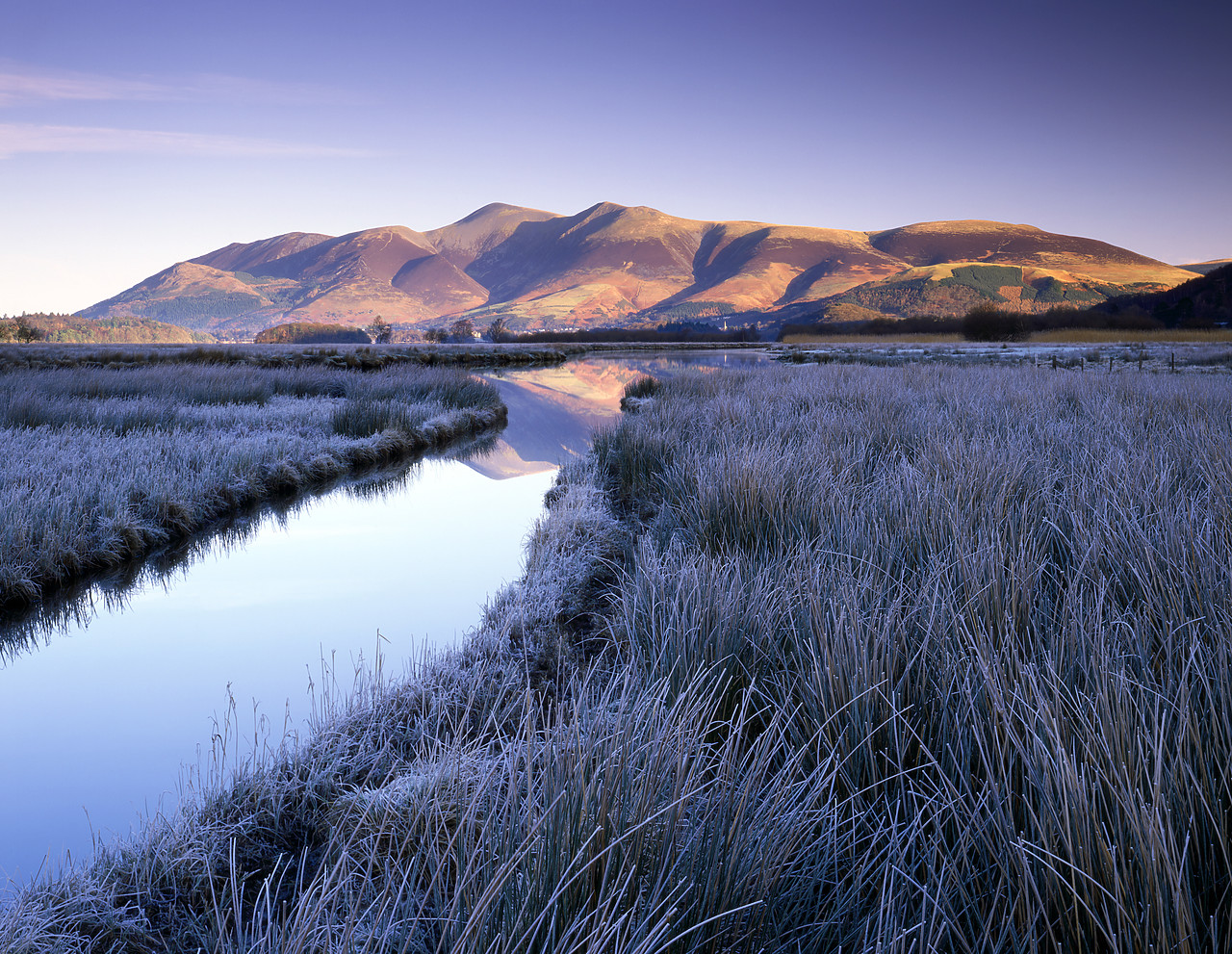 #080001-1 - Frosted Grasses & Skiddaw, Lake District National Park, Cumbria, England