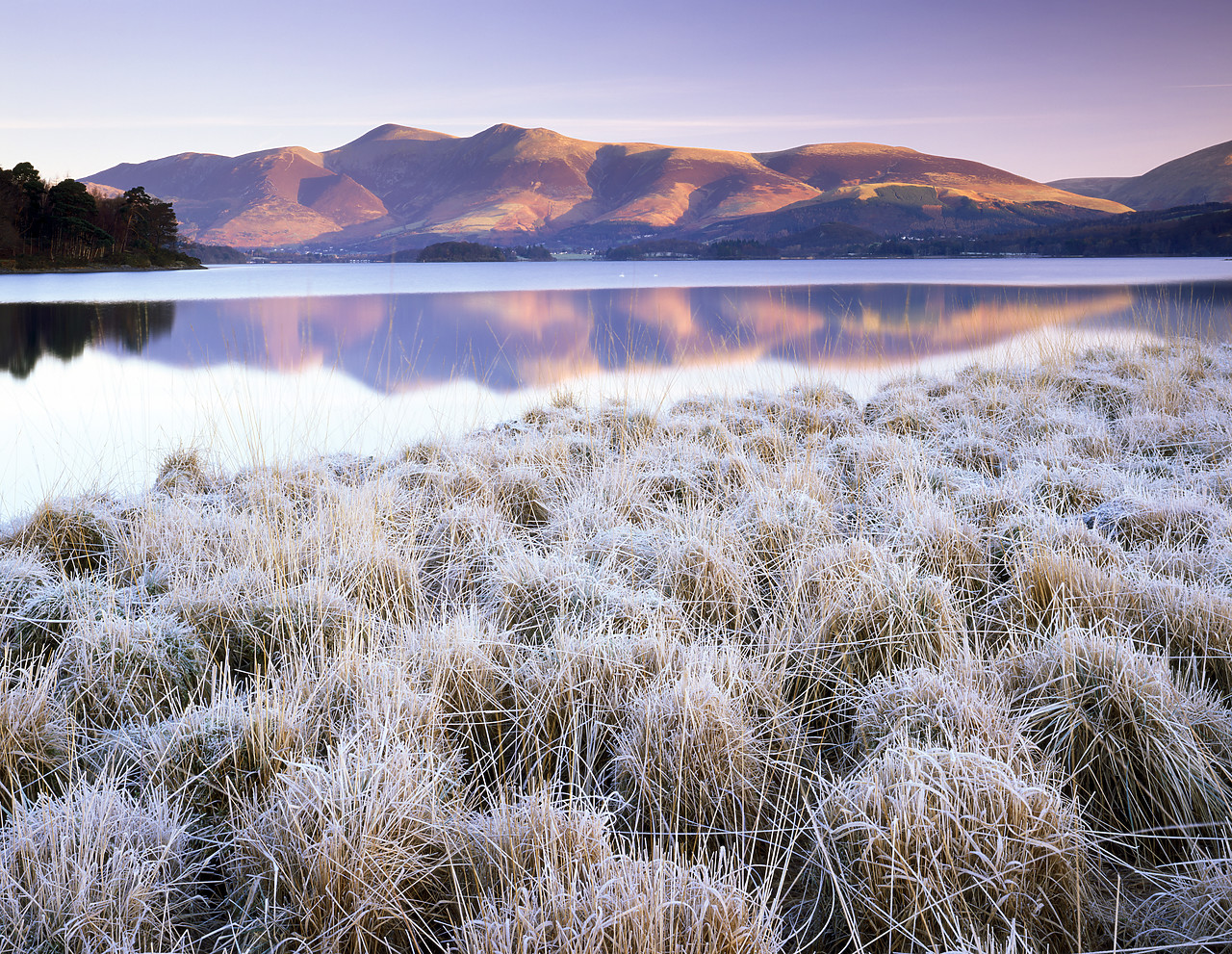 #080004-1 - Frosted Grasses & Skiddaw Reflecting in Derwent Water, Lake District National Park, Cumbria, England