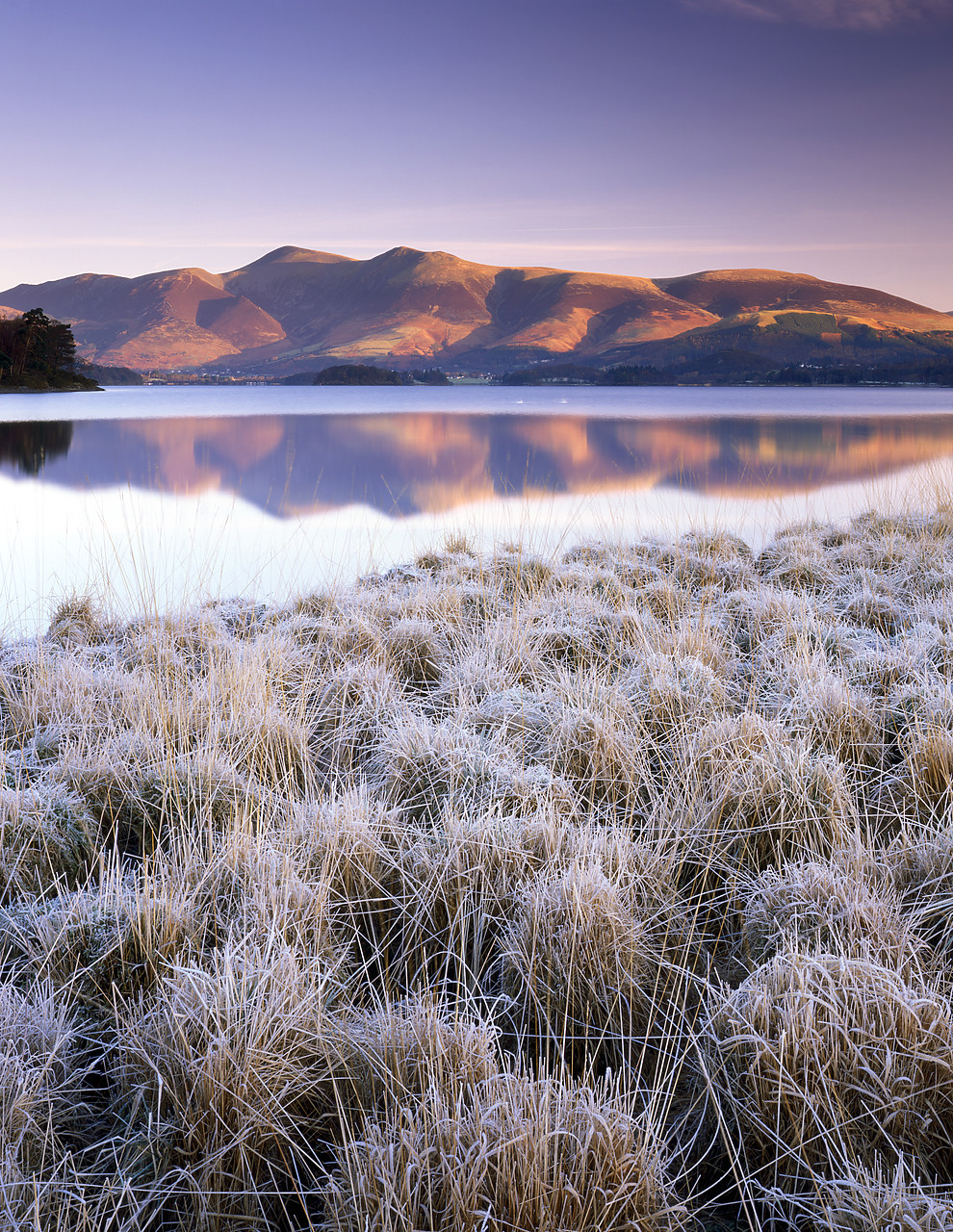 #080004-2 - Frosted Grasses & Skiddaw Reflecting in Derwent Water, Lake District National Park, Cumbria, England