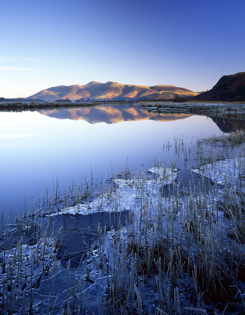 #080009-2 - Frozen Water's Edge & Skiddaw Reflecting in Derwent Water, Lake District National Park, Cumbria, England