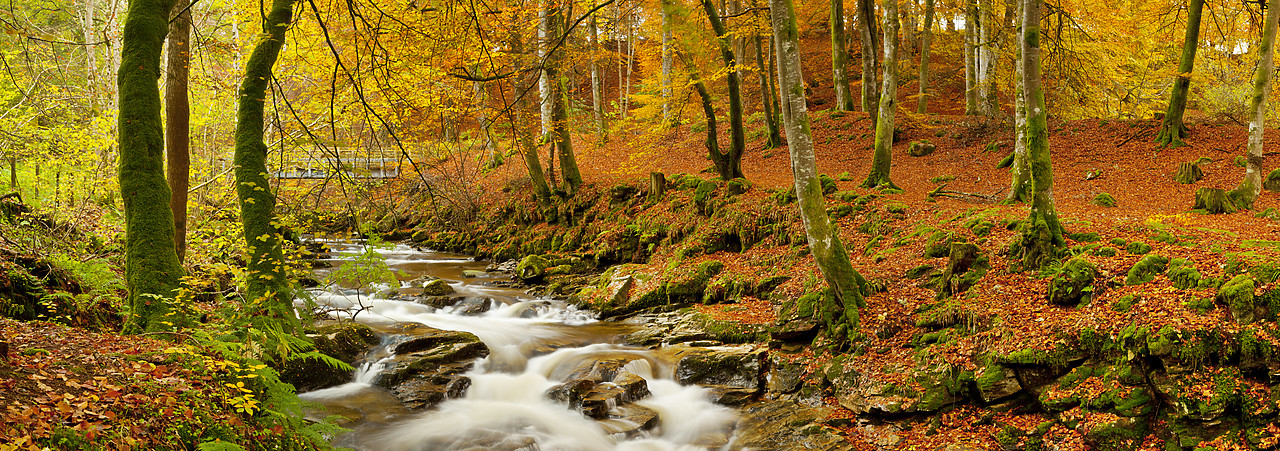 #100492-1 - The Birks of Aberfeldy in Autumn, Aberfeldy, Tayside Region, Scotland
