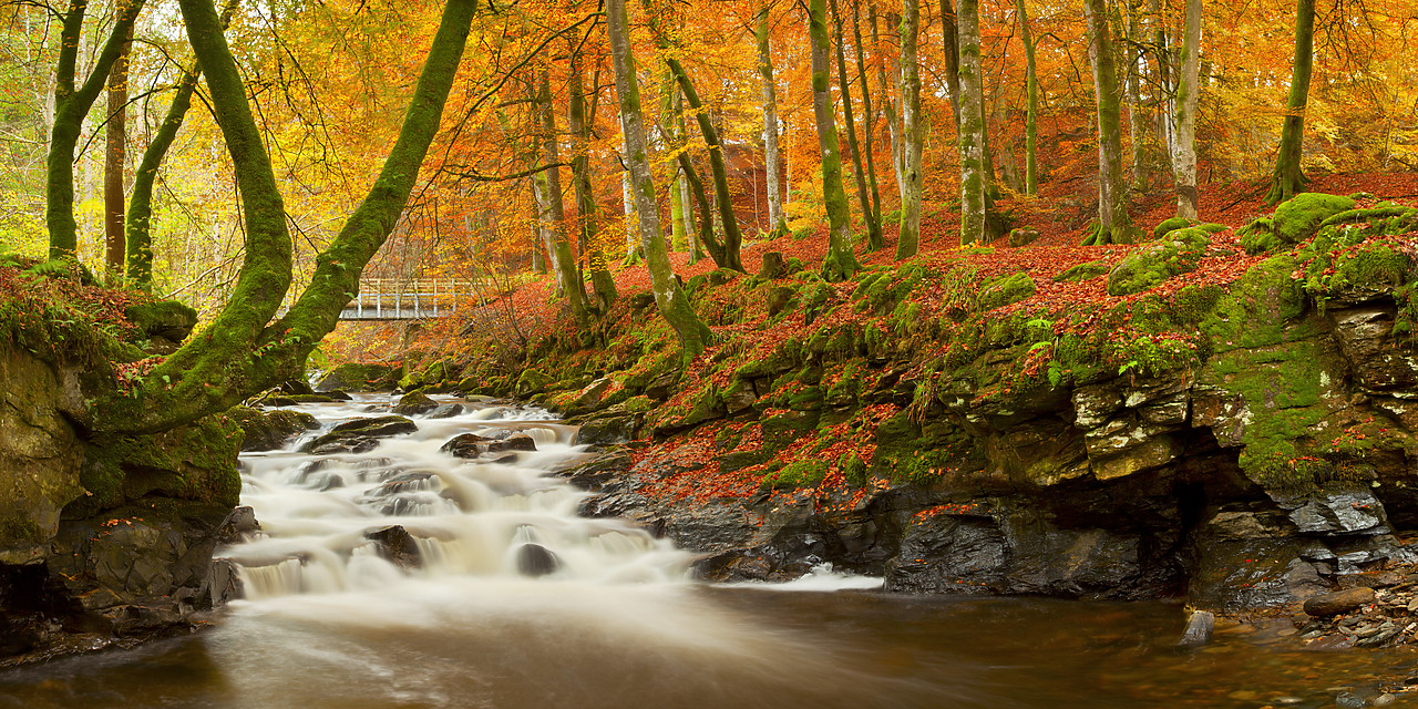 #100493-1 - The Birks of Aberfeldy in Autumn, Aberfeldy, Tayside Region, Scotland