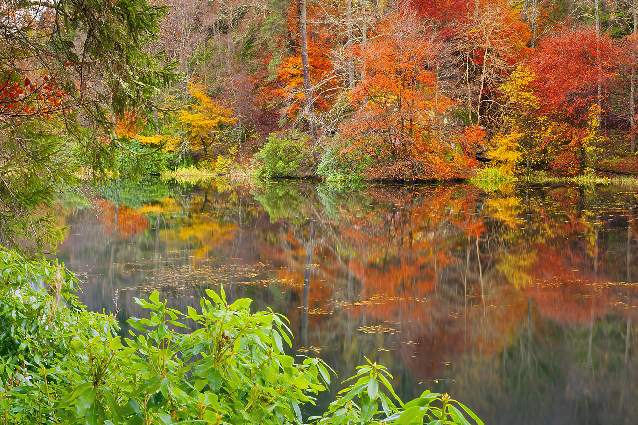 #100502-1 - Loch Dunmore Reflections in Autumn, Pitlochry, Tayside Region, Scotland