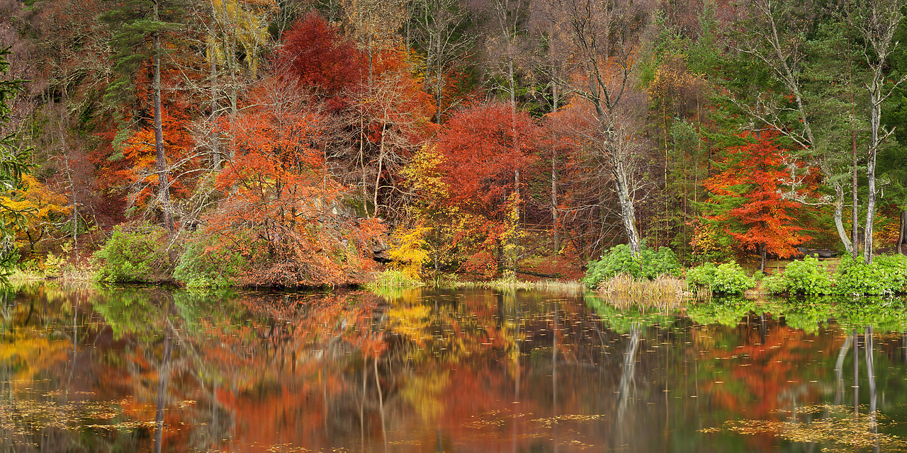#100503-1 - Loch Dunmore Reflections in Autumn, Pitlochry, Tayside Region, Scotland
