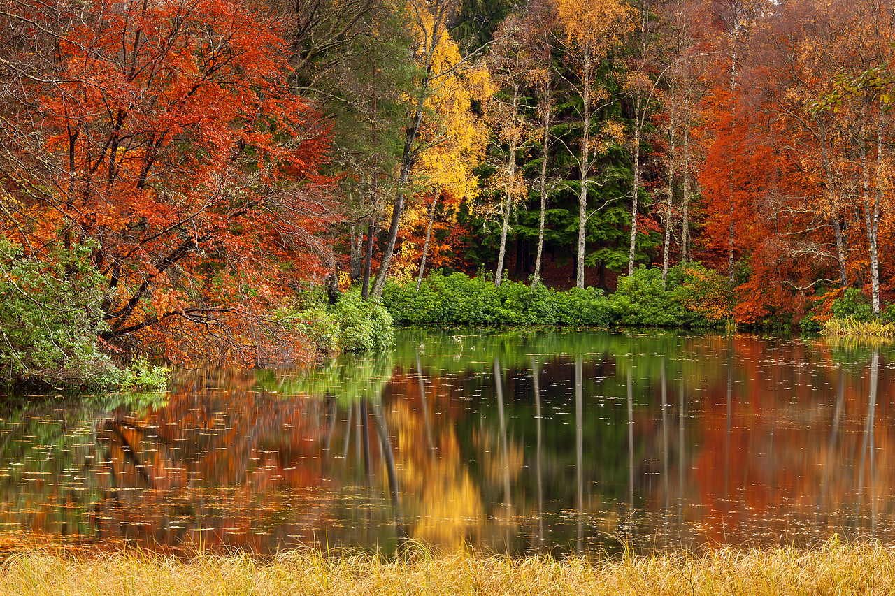 #100504-1 - Loch Dunmore Reflections in Autumn, Pitlochry, Tayside Region, Scotland