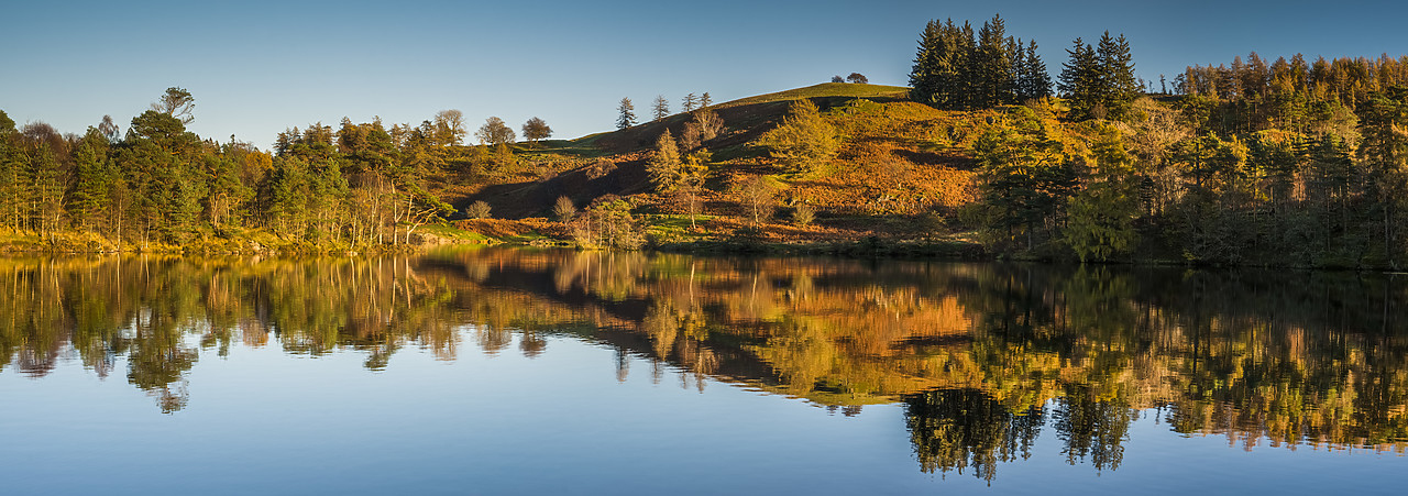 #130387-2 - Tarn How Reflections in Autumn, Lake District National Park, Cumbria, England