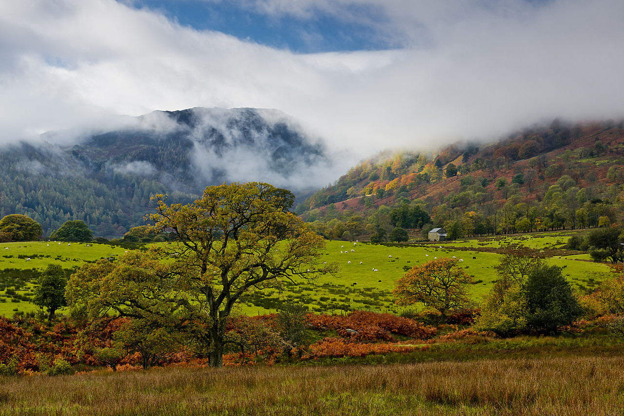 #130392-1 - Low Clouds above Glencoyne Park, Lake District National Park, Cumbria, England