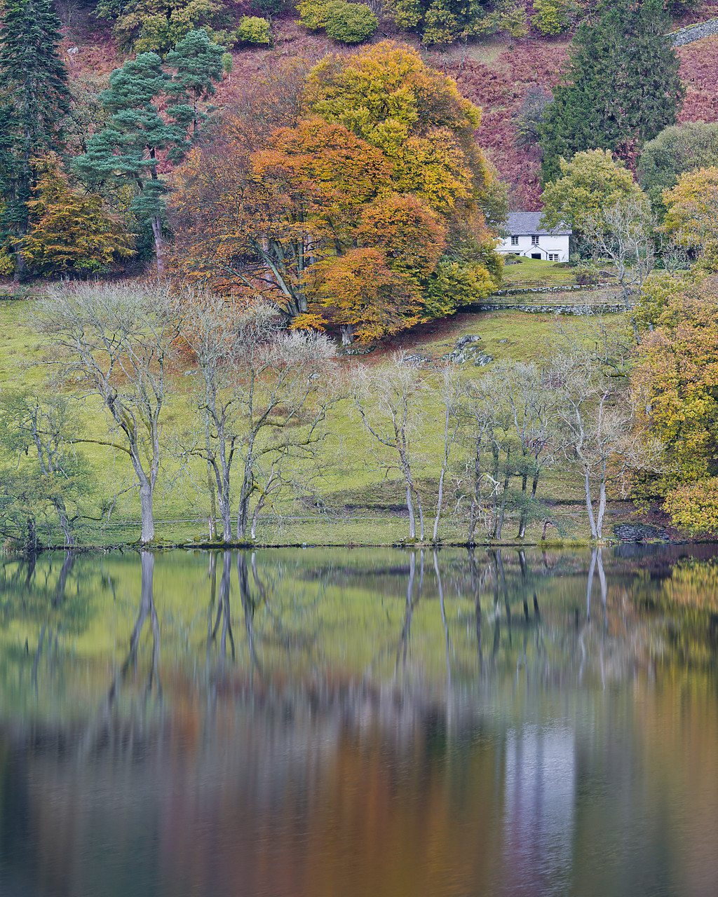 #130394-2 - Cottage Reflecting in Loughrigg Tarn in Autumn, Lake District National Park, Cumbria, England