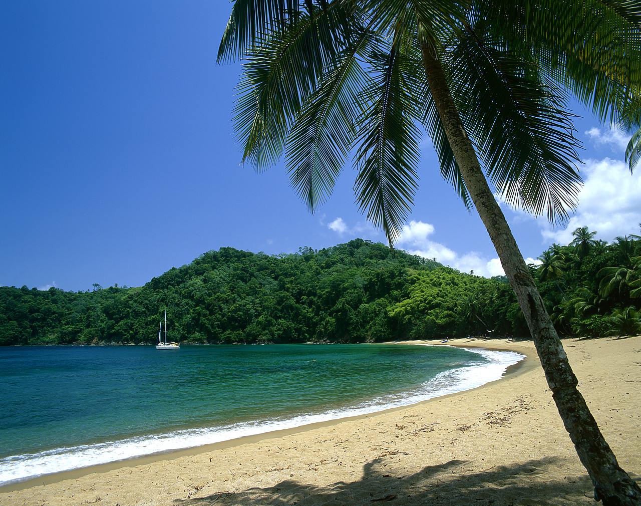 #200386-1 - Englishman's Bay, Tobago, West Indies, Caribbean