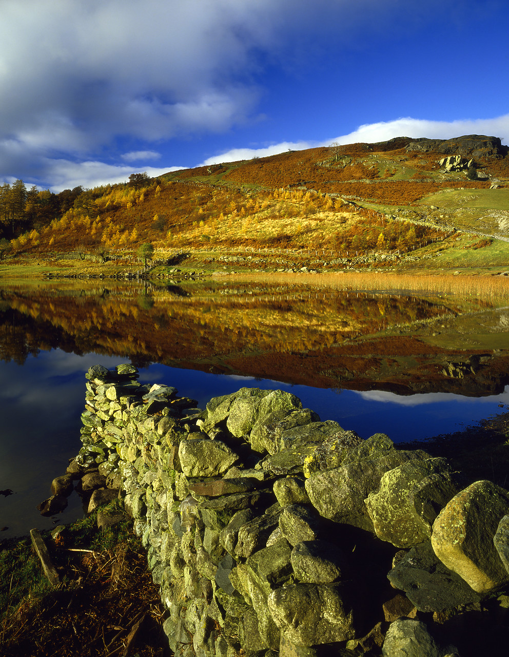 #871150-1 - Watendlath Tarn in Autumn, Lake District National Park, Cumbria, England