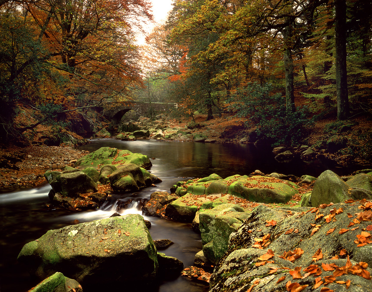 #871155-1 - River Esk in Autumn, Near Boot, Cumbria, England